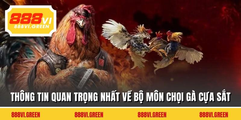 Thông tin quan trọng nhất về bộ môn chọi gà cựa sắt