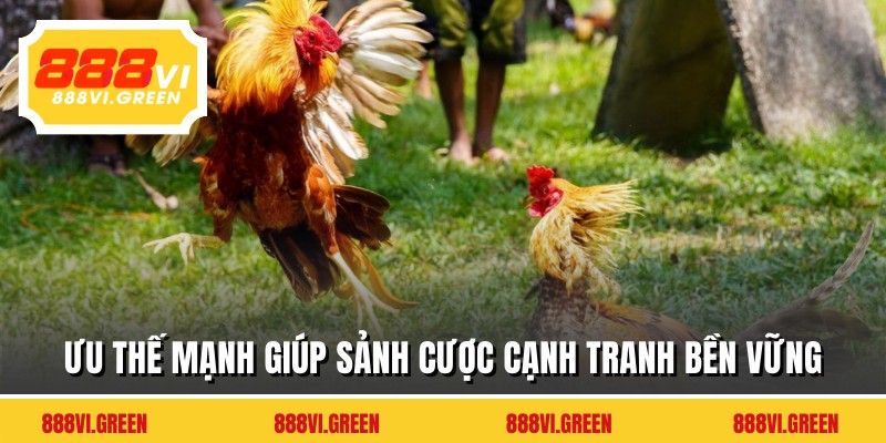Ưu thế mạnh giúp sảnh cược cạnh tranh bền vững